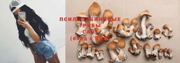 спиды Аркадак