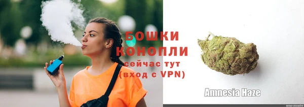 шишки Арсеньев