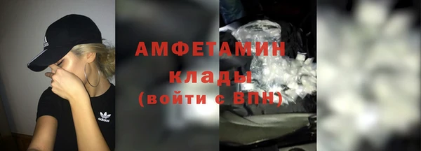 шишки Арсеньев