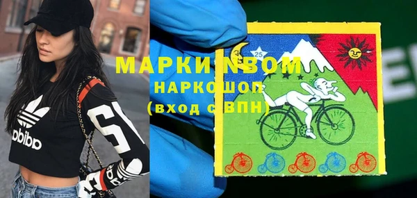 шишки Арсеньев