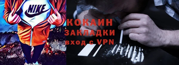 шишки Арсеньев
