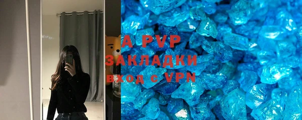 шишки Арсеньев