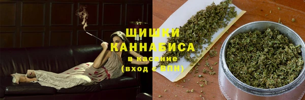 шишки Арсеньев