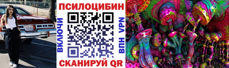 Галлюциногенные грибы Cubensis  Северо-Курильск 